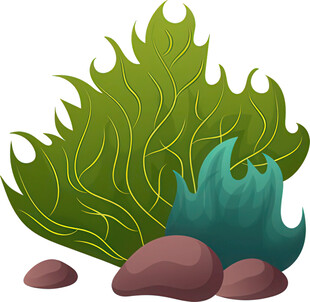 海底绿植与礁石景观