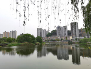 河岸倒影