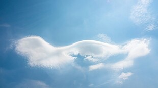 天空中形似翅膀的云朵