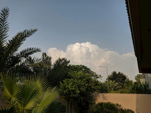 庭院上空的白云绿树景观