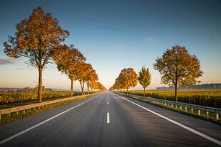 秋日公路美景