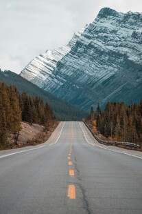公路伸向雪山森林美景