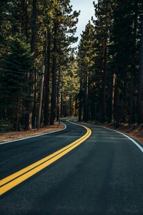 林间蜿蜒公路美景