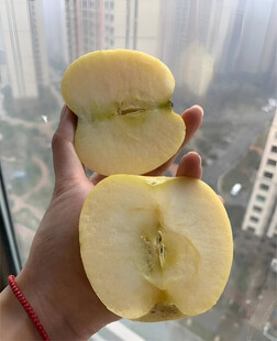 苹果