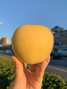 苹果