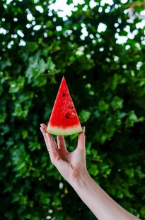 手捧鲜红西瓜片