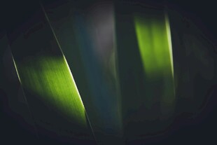 梦幻绿色光影抽象画面