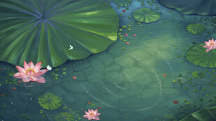 荷塘中的粉色荷花与荷叶