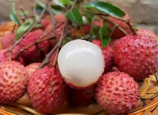 荔枝