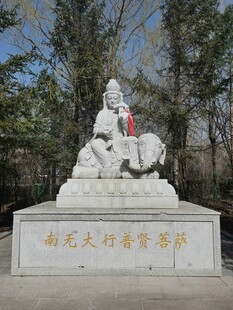 普贤菩萨 雕像