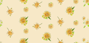 小黄花花卉图案背景图