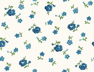 蓝白花卉小碎花