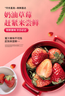 尝鲜奶油草莓 开启甜蜜之旅