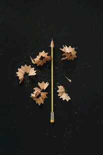 干枯枝叶与铅笔的静物组合