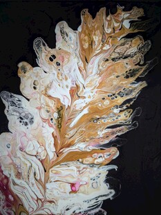 多彩羽毛艺术画作