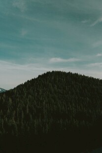 山林暮色