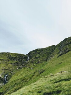 翠绿山坡上的自然美景