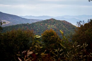 山峦叠翠的自然美景