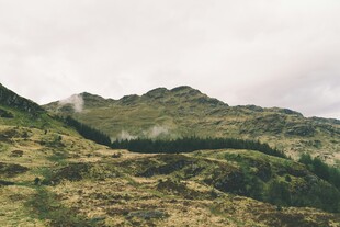 山间绿野景色