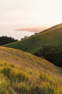 夕阳下的翠绿山坡美景