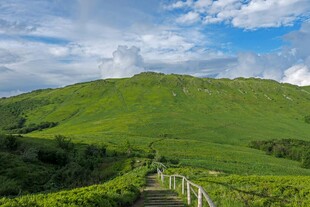 山间绿野小径风景如画