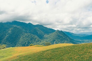 山间绿野美景