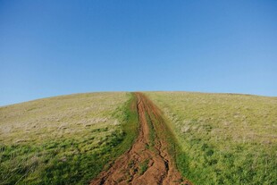 田野间的蜿蜒泥土小路