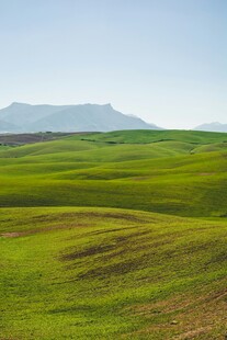 广袤绿野与远山美景