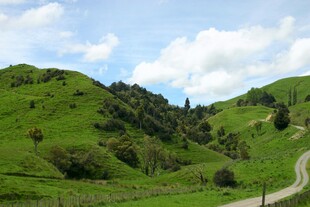 山间绿野蜿蜒小路美景