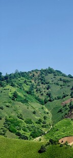 青山绿野间的美丽景致