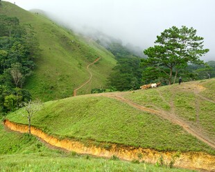 山间绿野蜿蜒小路美景