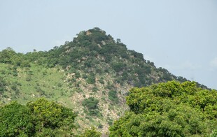 青山绿树间的秀丽景致