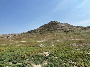 广袤山丘下的绿意景致