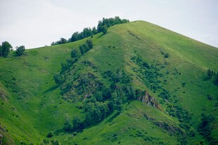 翠绿山丘风景如画