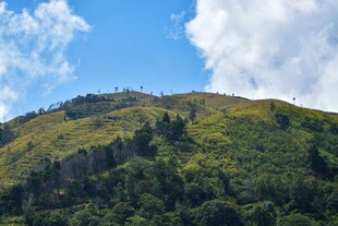 青山蓝天美景