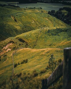 翠绿山丘田园风光美景