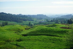 翠绿山丘田园风光美景