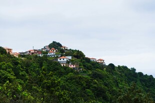 山间多彩房屋隐于葱郁林木
