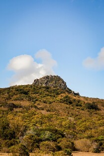 山巅风光