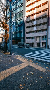 城市街道秋日景象