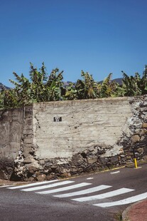 路边石墙与绿植
