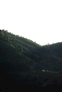 青山葱郁间的蜿蜒小路
