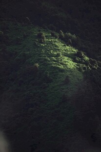 山间微光下的绿意景致