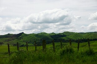 草原围栏边的绿意风景