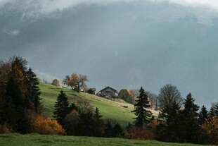 山间秋景 云雾缭绕的绿野