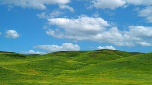 翠绿草原与蓝天白云美景