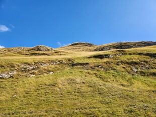 蓝天绿野山丘美景