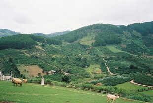 青山绿野间的悠然田园景