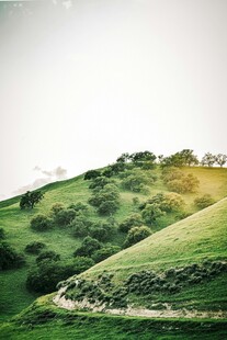 绿意盎然的山坡田园风光