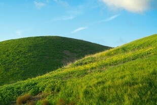 翠绿山坡 蓝天白云美景